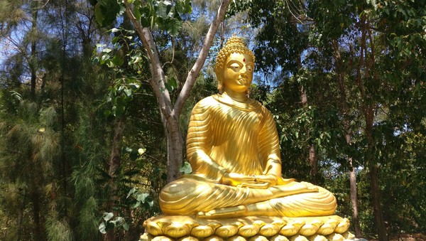 GoldenBuddha KoSamui