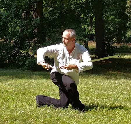 web taiji sword